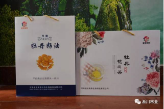 智华天宝 - 副本2741.png